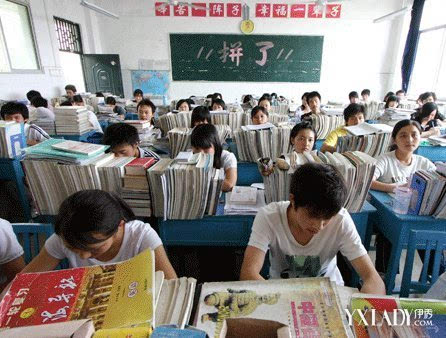 张镇风高考考了多少分 陕西省高考状元毕业后愿为农民做贡