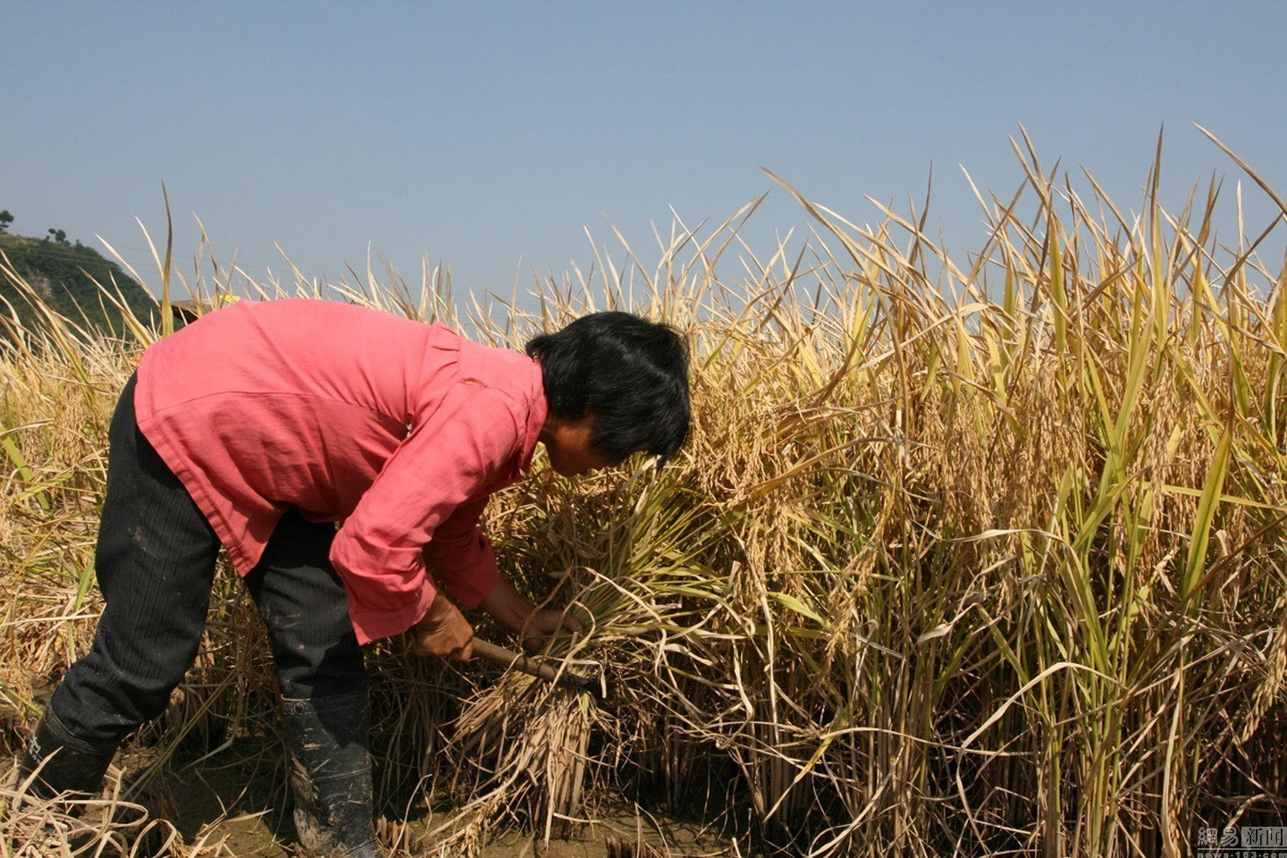 摄影师历时11年记录中国农民生活变迁