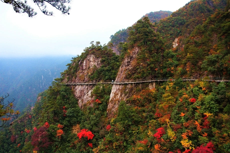 寻找临安最美风景