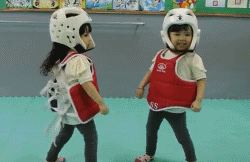 http://n1.itc.cn/img8/wb/smccloud/recom/2015/10/31/144624981000841526.GIF