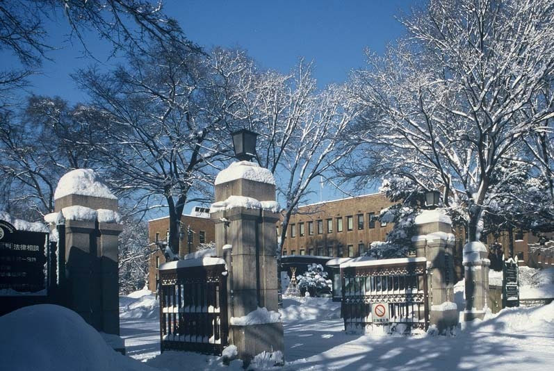 com  你却可以在大雪纷飞的季节漫步北海道大学,看白杨木的英姿飒爽