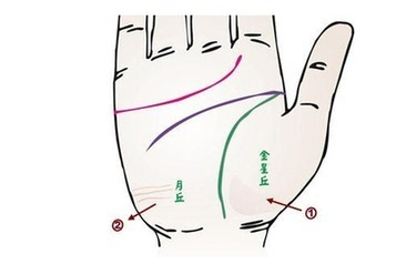 洗澡后手掌起纹有肾病从掌纹知健康晓财运