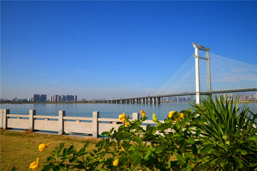 泉州沿海大通道沿途风景(杜诗欣摄)