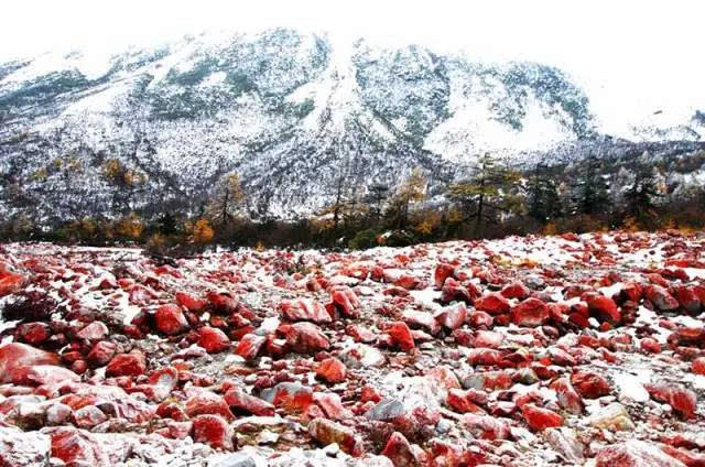 北方下雪算什么?我大甘孜的雪景分分钟完胜!