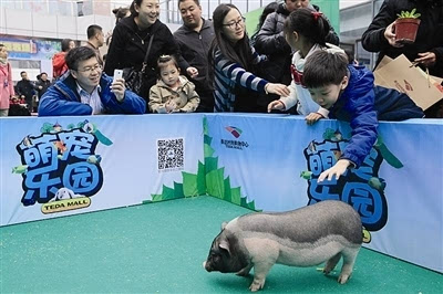 孩子们在萌宠乐园和小动物互动市民在"农夫集市"活动中免费领取蔬菜
