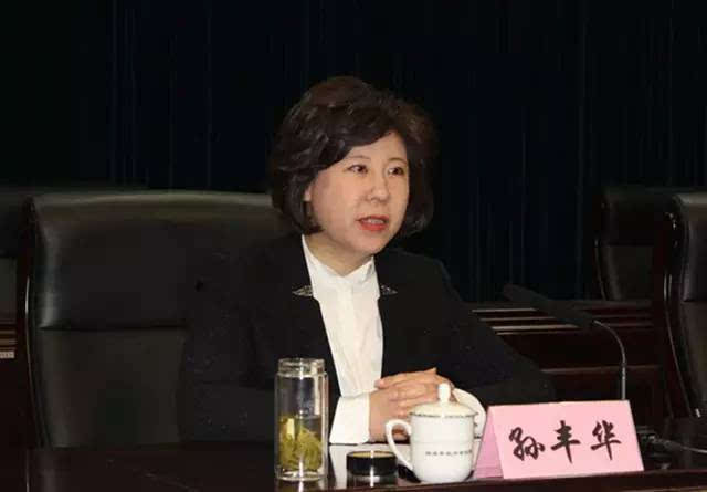 "65后"女官孙丰华调任省监察厅副厅长 履历丰富