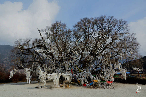 西藏冬天最壮美的地方在这里