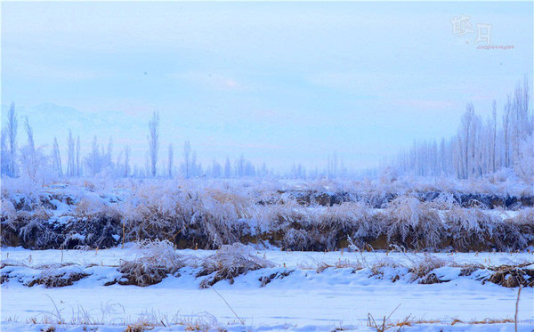 雾凇托克拉克 冬季伊犁乡村的模样