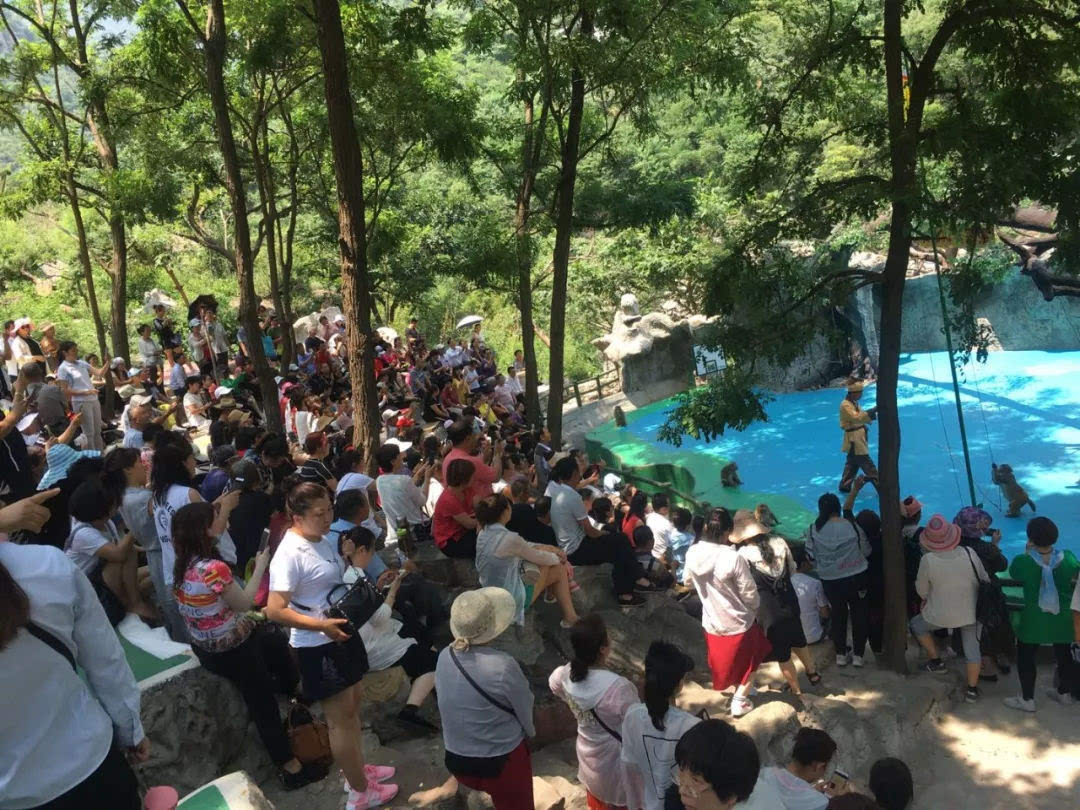 新乡南太行|夏日三伏天，何以解“闷”，唯有漂流！