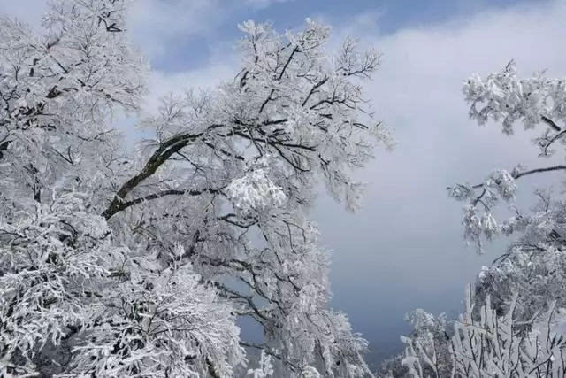 冰挂奇景，冰山玉树琼林,白云山美出新高度