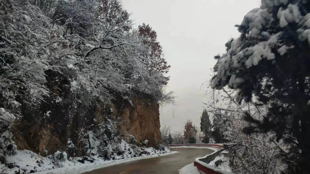 一场春雪，白云山美出了新境界