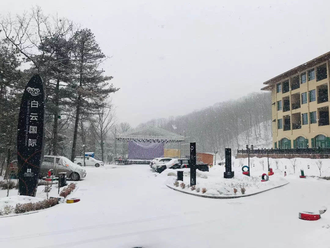 一场春雪，白云山美出了新境界