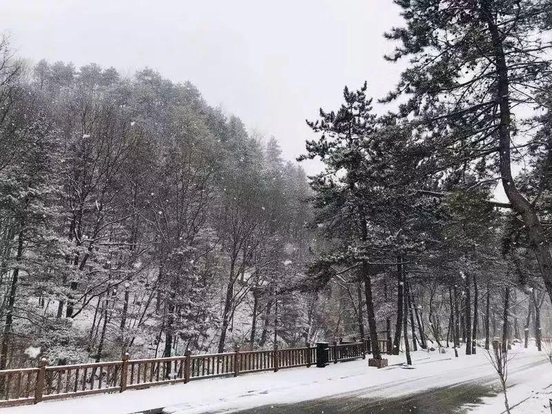 一场春雪，白云山美出了新境界