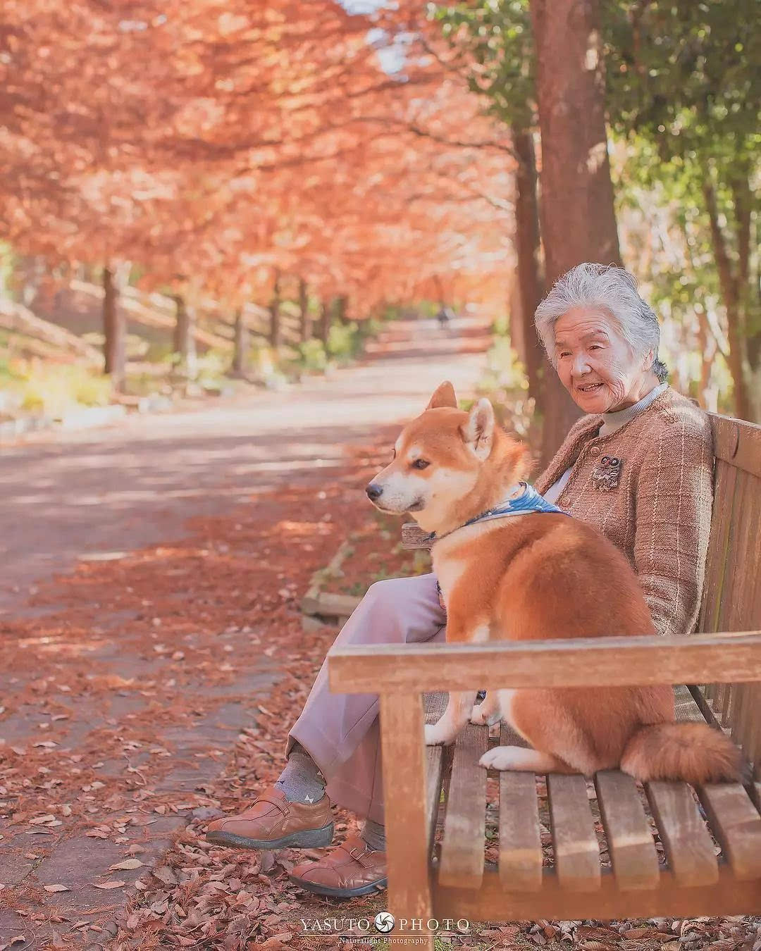 85岁奶奶和柴犬一张照片,暖哭网友:岁月静好,愿时光不老