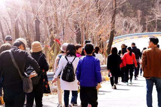 春醉龙峪湾 遇见花开遇见你
