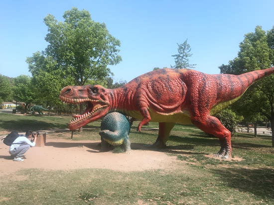 中原网络大咖西峡采风活动启幕 领略西峡山水魅力