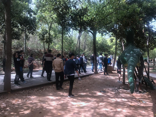 中原网络大咖西峡采风活动启幕 领略西峡山水魅力