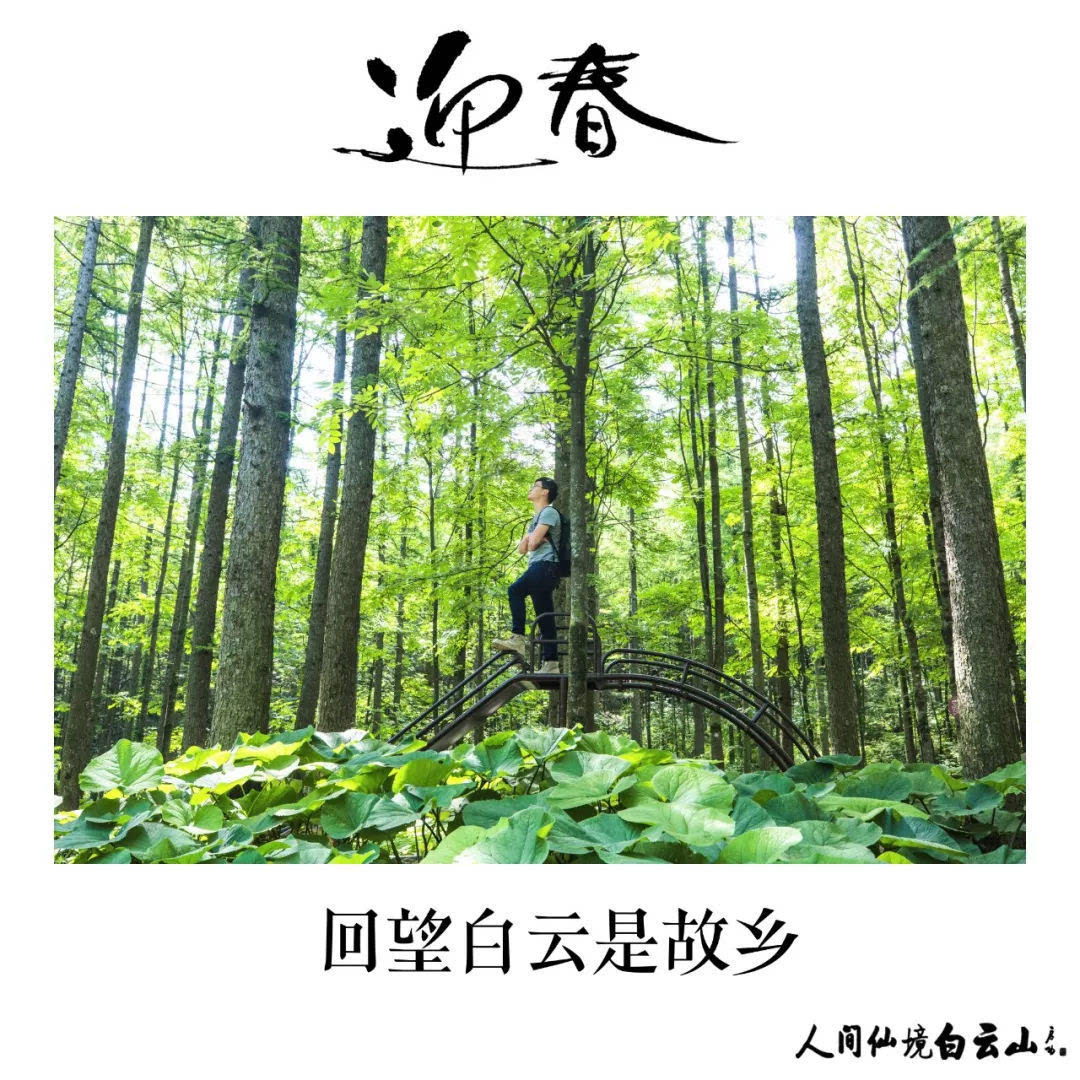 【白云山正好玩 二次元大乐斗】白云之巅嗨四天