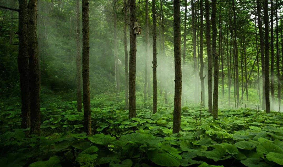 龙峪湾上演“一出好戏” 传统文化与流行文化精彩碰撞！