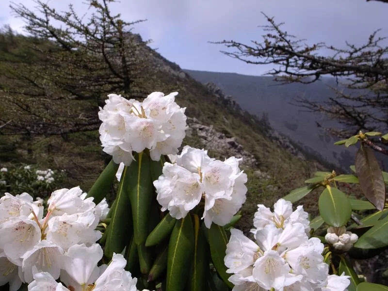龙峪湾上演“一出好戏” 传统文化与流行文化精彩碰撞！