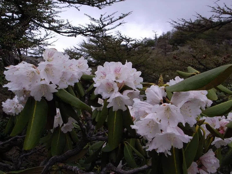 龙峪湾上演“一出好戏” 传统文化与流行文化精彩碰撞！