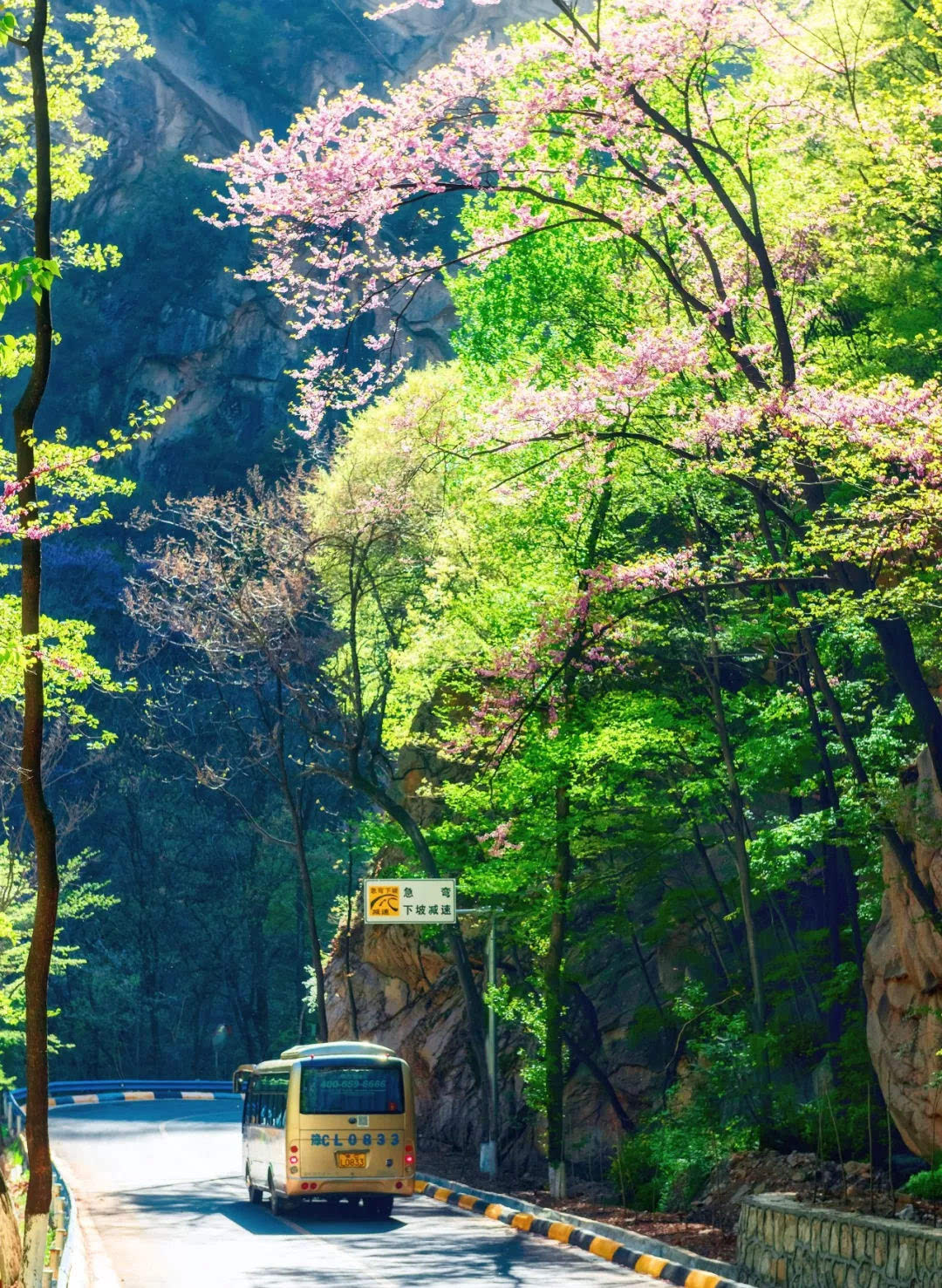 龙峪湾上演“一出好戏” 传统文化与流行文化精彩碰撞！