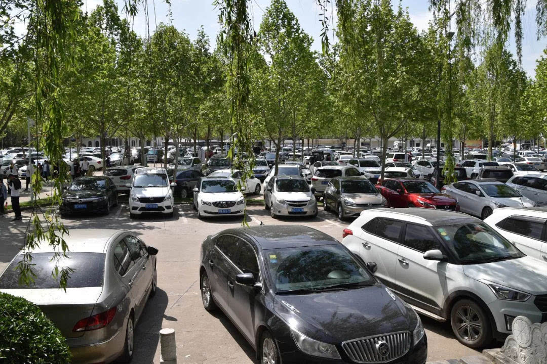 “五一”小长假第二天，鸡冠洞游人如织