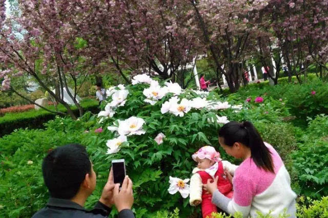 “五一”小长假第二天，鸡冠洞游人如织