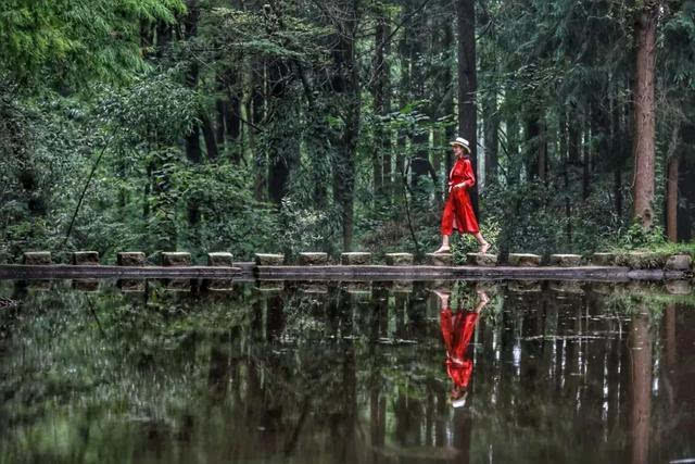 拍抖音！赢大奖！小小莎打卡鸡公山，约你 #浪在23度的夏天