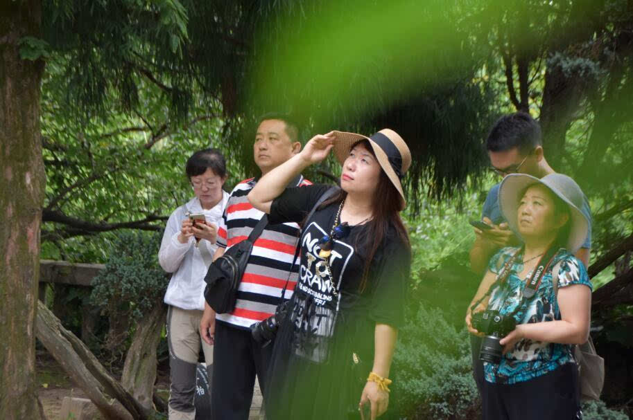 文旅达人、知名官媒争相打卡，这个夏天来鸡公山真叫来对了！