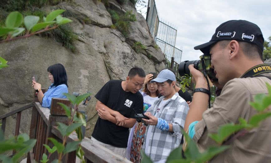 文旅达人、知名官媒争相打卡，这个夏天来鸡公山真叫来对了！