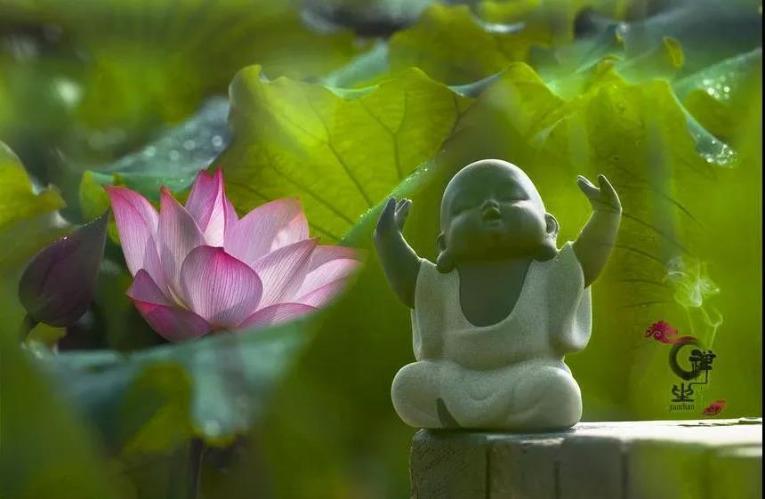 佛祖"拈花微笑",拈的是哪种花,意义是什么?