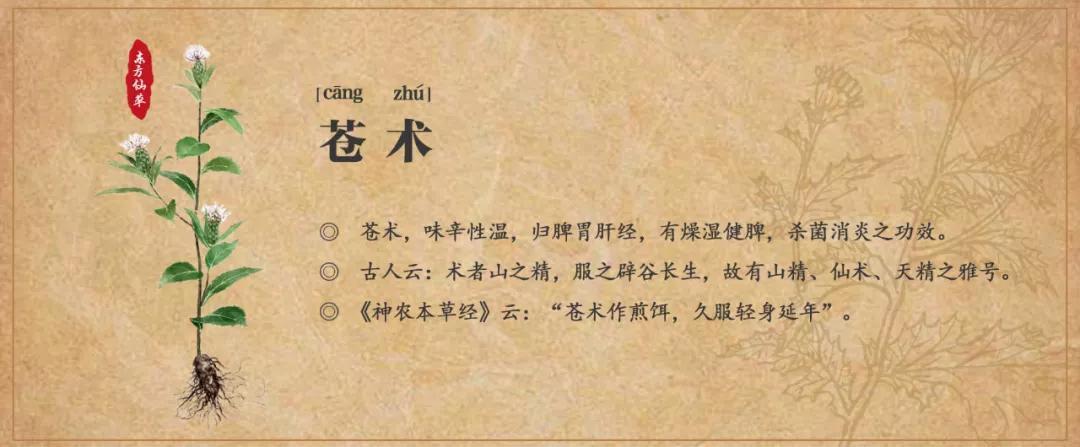 防疫小窍门 | 可以上飞机的免冲洗手液