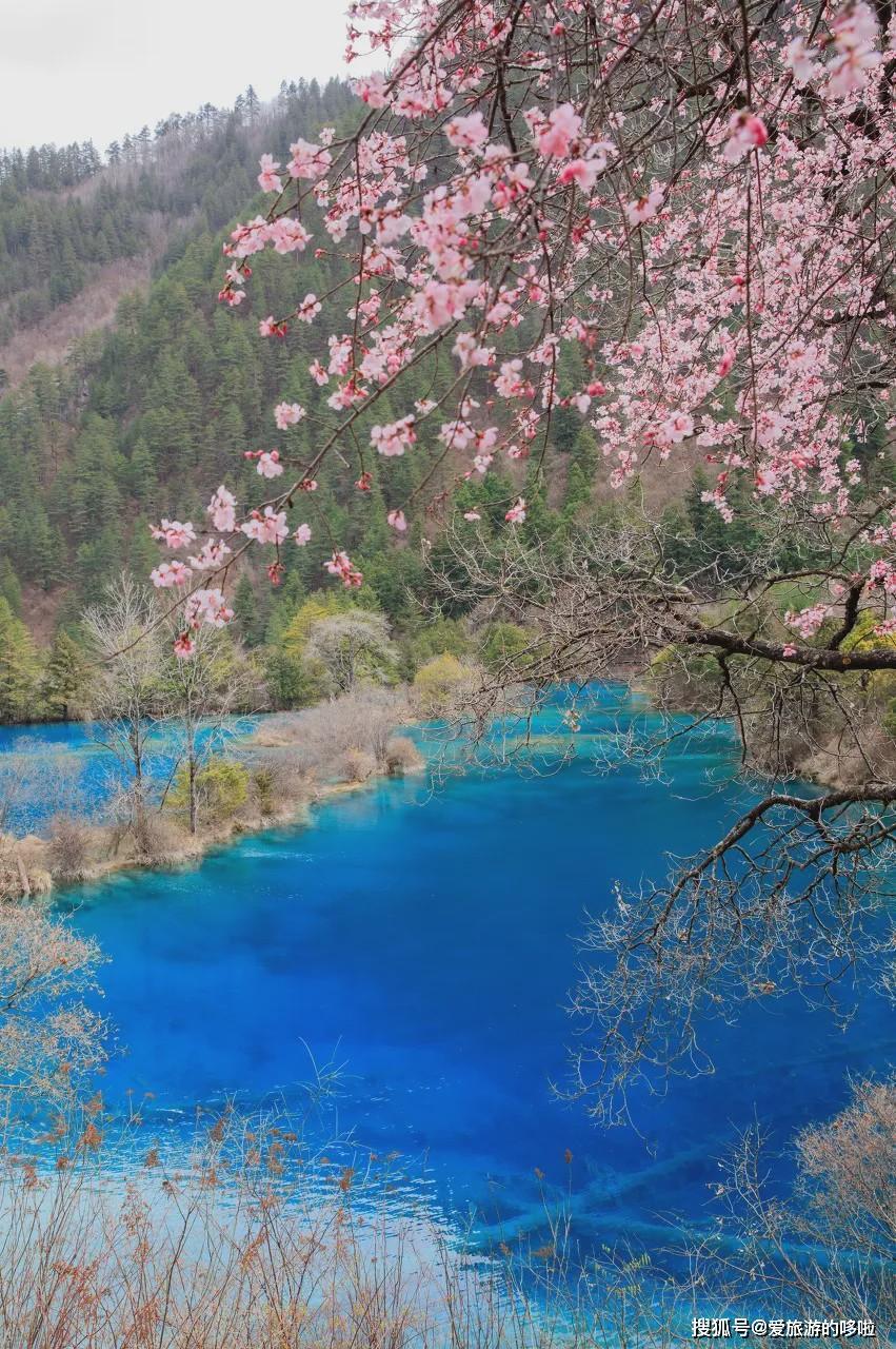 国内竟私藏如此世界级美景?70岁前必去,去过一半算优秀!