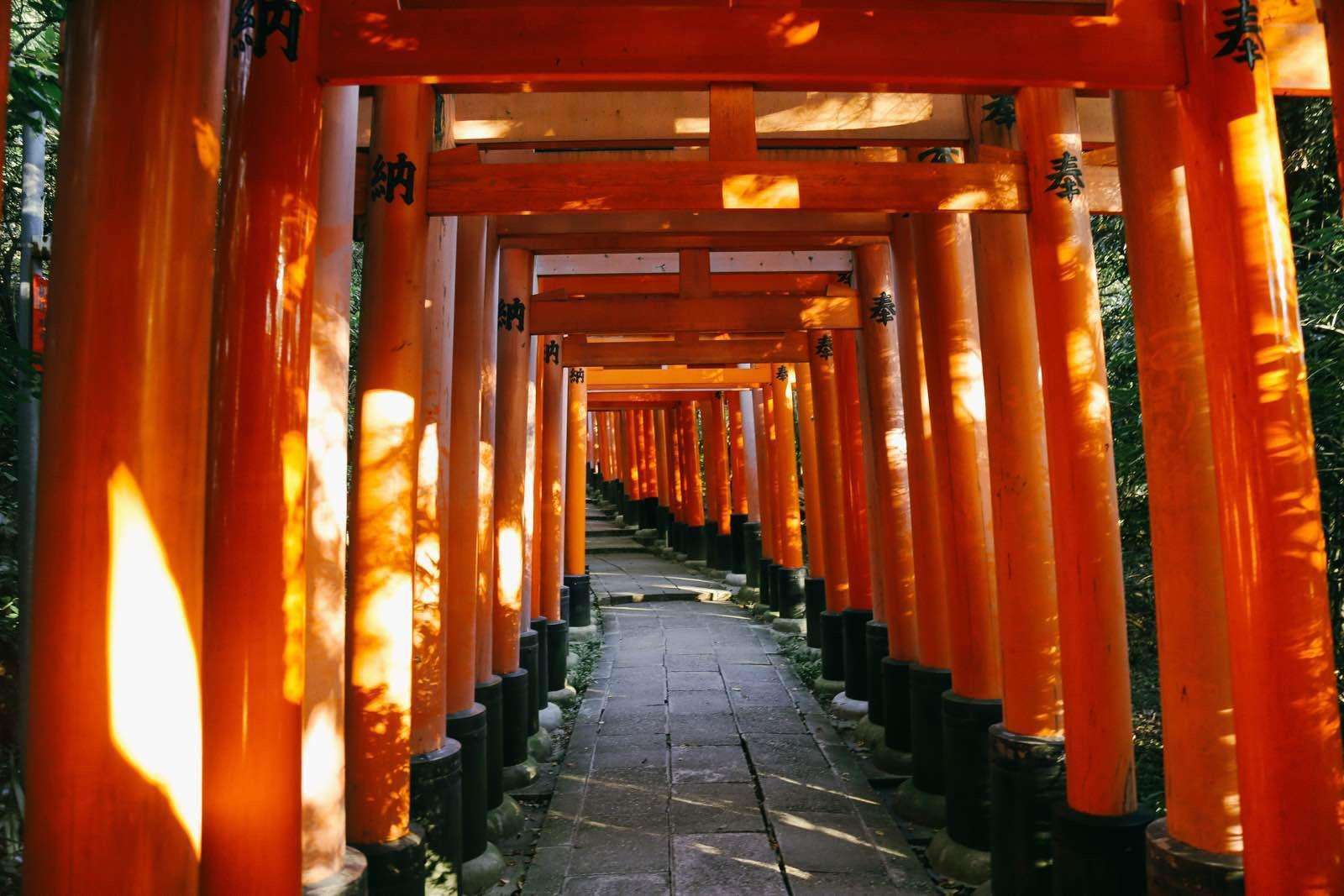日本稻荷神社的鸟居