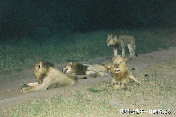 西街雄狮联盟统治后期遇到的困难和挑战