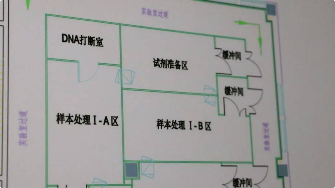 记者走进这家第三方核酸检测实验室!