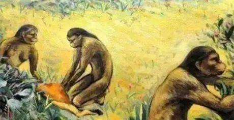 百年,好几万年才能进化成如今这个样貌,其实关于人第一批人类是如何