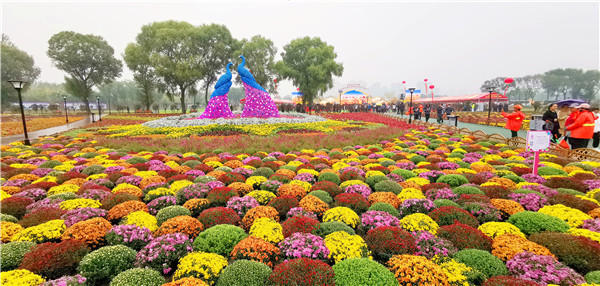 600×286