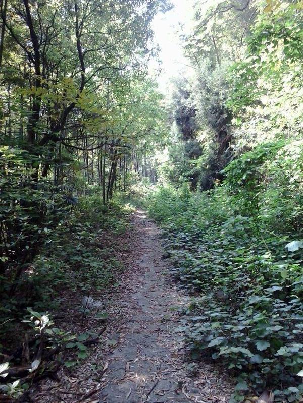 古人常道"大路有水,小路有鬼",有何含义?专家:早听早受益