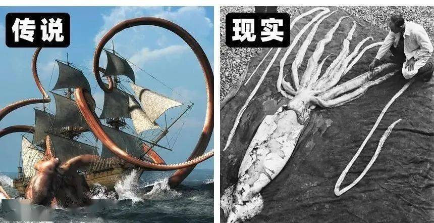 事实上,霍比特人是真实存在的,他们真的在地球上行走着.