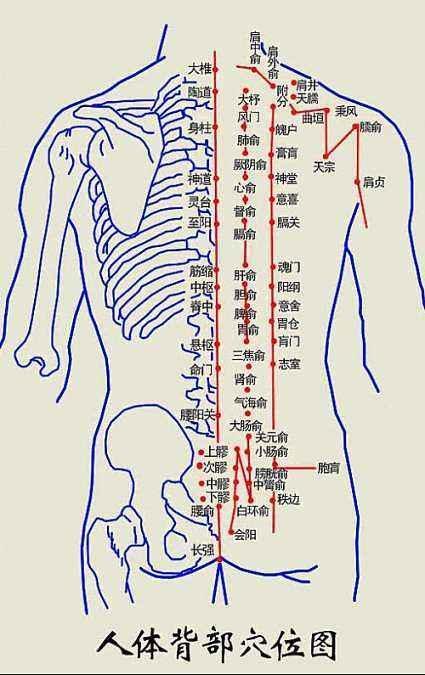 尺泽乃肺经五输穴之"子穴",对表实无汗之类的肺实证具有发汗解表作用