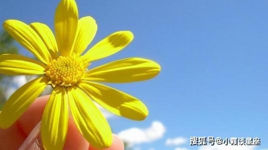 积极向上的朋友圈唯美句子,充满阳光正能量,句句获得好评