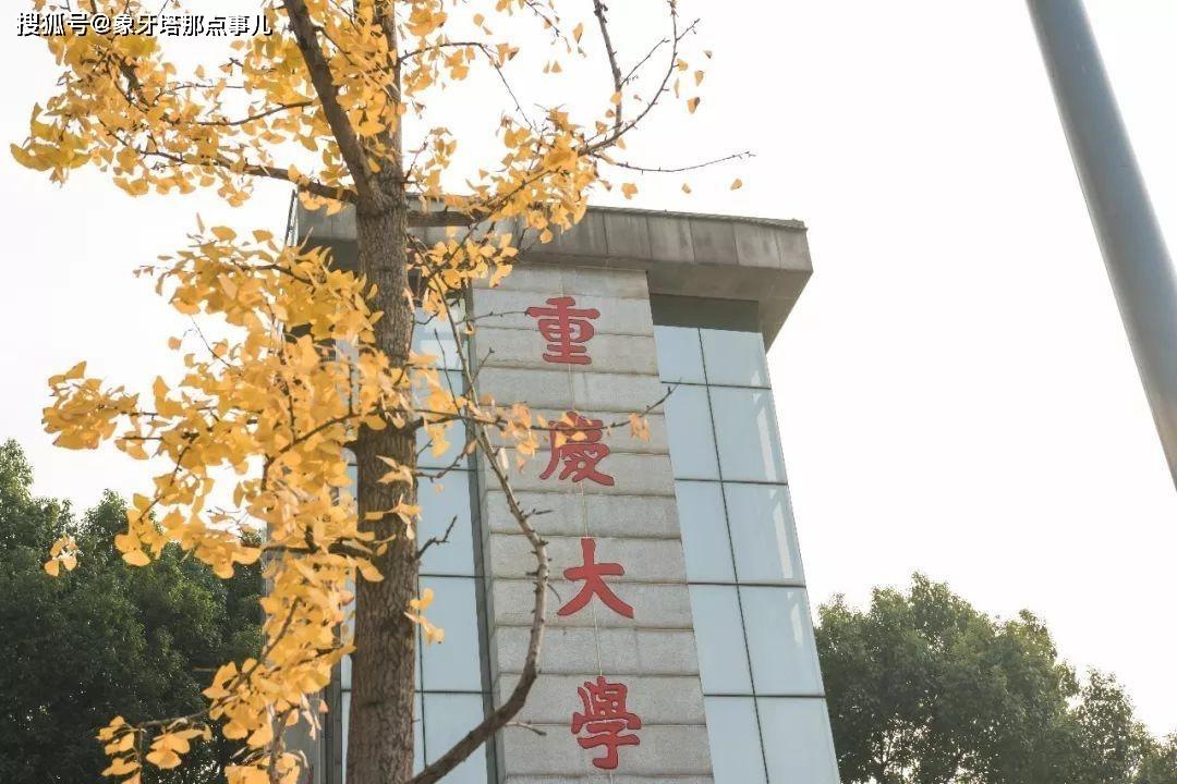 重大排名倒数第4作为直辖市重庆唯一的一所985高校，重庆大学很显然没有“