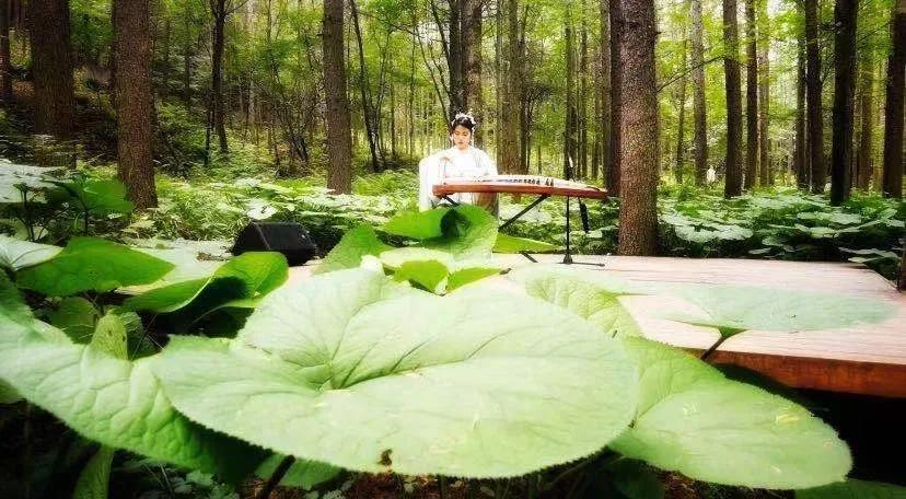 这个夏天相约白云山，赏高山流水，听袅袅仙音