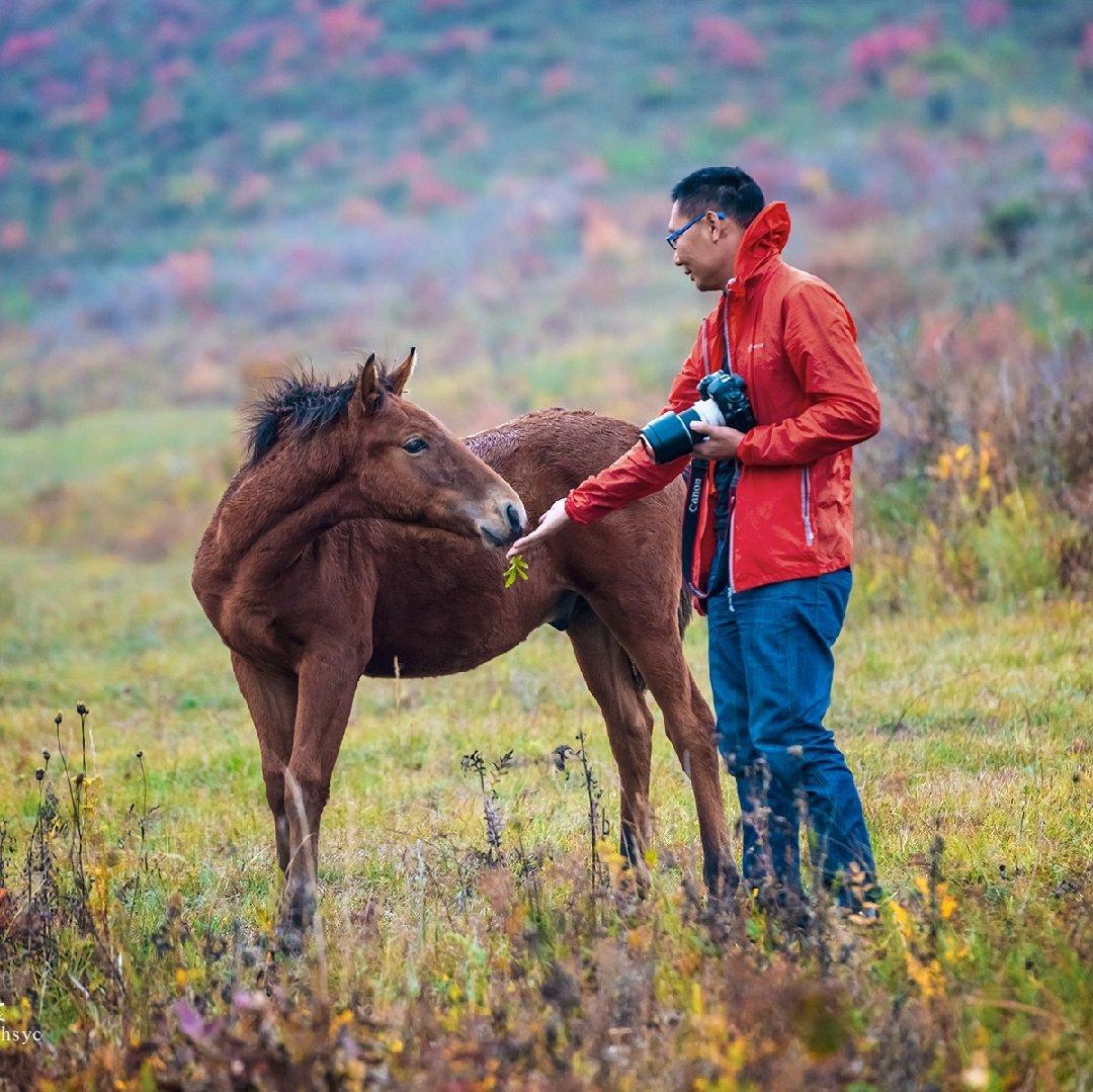 这个夏天相约白云山，赏高山流水，听袅袅仙音