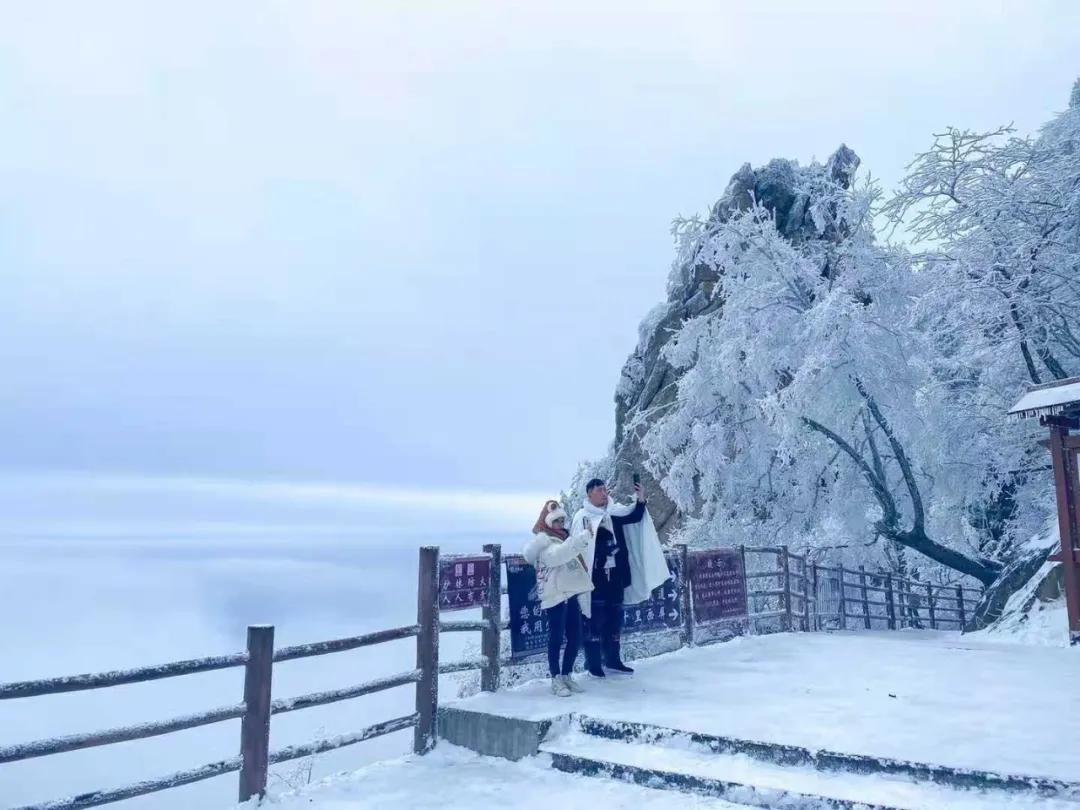 老君山冬季恋歌，不负初冬的旅行