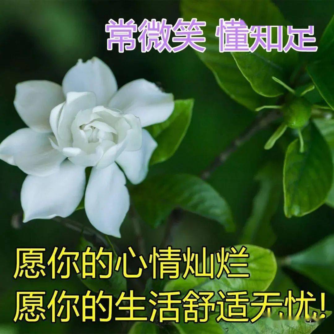 早上问候表情包_问候表情包_中老年问候表情包