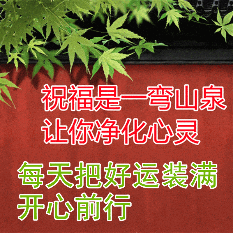 中老年问候表情包_早上问候表情包_问候表情包