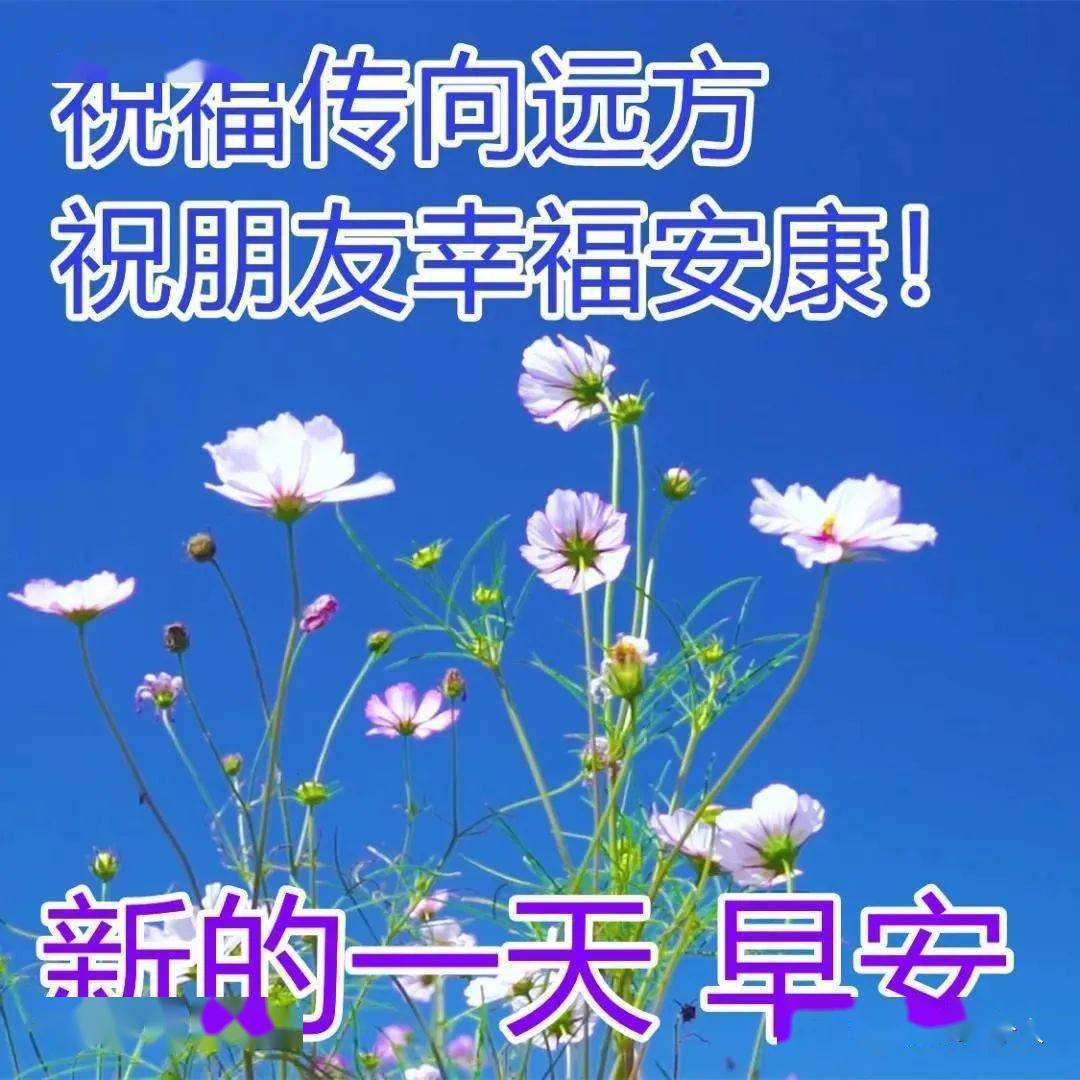 早上问候表情包_中老年问候表情包_问候表情包